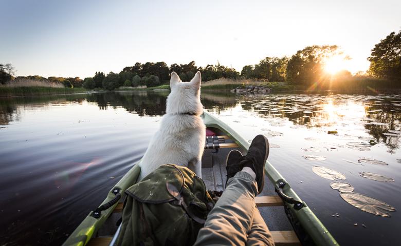 Relaxing in canoe with white dog