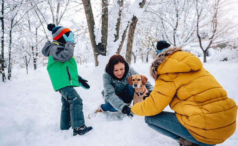 Family of three playing with dog in the snow